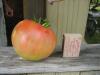Большая помидорка сорта "Вождь краснокожих". Вес 320 грамм. Сорвали, чтобы не мешала расти соседке.