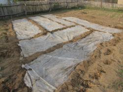 27 апреля 2012. Укрытая плёнкой почва для прогрева перед посадкой батата.