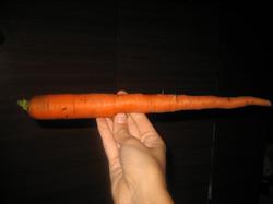 Длинная морковина сорта "Сахарная конфетка". В холодильник не влезла. :)))
